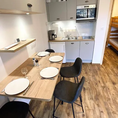 Apartment Renove Aux Deux Alpes, Proche Des Pistes, Balcon Sud, Ascenseur, 4 Pers. - Fr-1-516-175 Les Deux Alpes