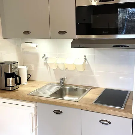 Renove Aux Deux Alpes, Proche Des Pistes, Balcon Sud, Ascenseur, 4 Pers. - Fr-1-516-175 Apartment